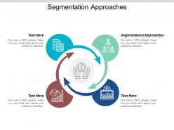 Segmentation approaches ppt powerpoint presentation icon gallery cpb