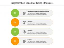 Segmentation based marketing strategies ppt powerpoint presentation ideas tips cpb