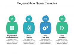Segmentation bases examples ppt powerpoint presentation infographics model cpb