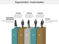 Segmentation customization ppt powerpoint presentation ideas grid cpb