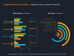Segmentation evaluation segment size and growth potential ppt summary grid