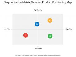 Segmentation matrix showing product positioning map