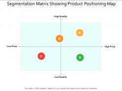 Segmentation matrix showing product positioning map