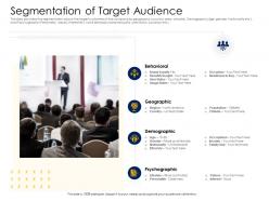 Segmentation of target audience alternative financing pitch deck ppt slide portrait