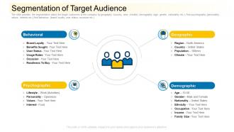 Segmentation of target audience community financing pitch deck ppt gallery skills