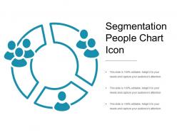 Segmentation people chart icon