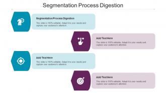 Segmentation Process Digestion Ppt Powerpoint Presentation Gallery Shapes Cpb