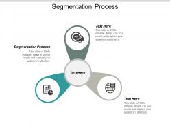 Segmentation process ppt powerpoint presentation gallery slide download cpb