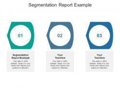 Segmentation report example ppt powerpoint presentation portfolio inspiration cpb