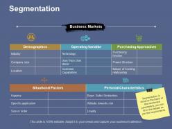 Segmentation responsibility framework ppt file summary