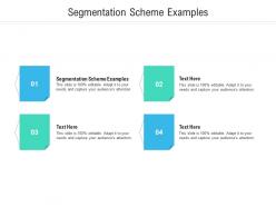 Segmentation scheme examples ppt powerpoint presentation outline show cpb