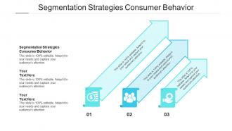 Segmentation strategies consumer behaviour ppt powerpoint presentation gallery outline cpb
