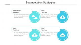 Segmentation strategies ppt powerpoint presentation inspiration model cpb