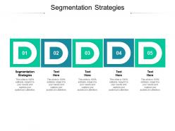 Segmentation strategies ppt powerpoint presentation styles graphics download cpb