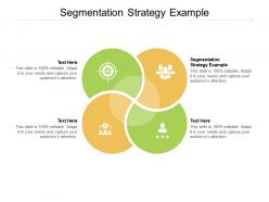 Segmentation strategy example ppt powerpoint presentation ideas layouts cpb