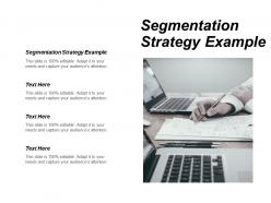 Segmentation strategy example ppt powerpoint presentation portfolio themes cpb