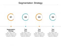 Segmentation strategy ppt powerpoint presentation ideas background images cpb
