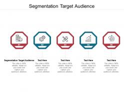 Segmentation target audience ppt powerpoint presentation layouts example cpb