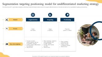 Segmentation Targeting Positioning Model For Undifferentiated Marketing Strategy