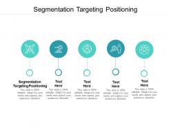 Segmentation targeting positioning ppt powerpoint presentation portfolio diagrams cpb