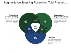 Segmentation targeting positioning total product concept branding product differentiation