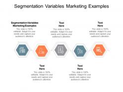 Segmentation variables marketing examples ppt powerpoint presentation gallery icons cpb