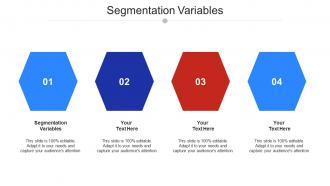 Segmentation Variables Ppt Powerpoint Presentation Visual Aids Outline Cpb