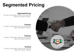 Segmented pricing ppt powerpoint presentation ideas picture cpb