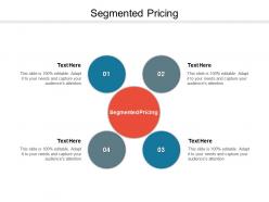 Segmented pricing ppt powerpoint presentation summary cpb