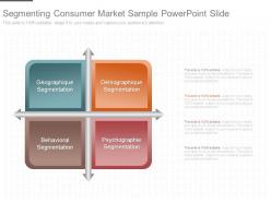 Segmenting Consumer Market Sample Powerpoint Slide