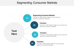 Segmenting consumer markets ppt powerpoint presentation ideas graphics tutorials cpb