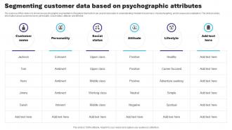 Segmenting Customer Data Based On Psychographic Attributes Essential Guide To Database Marketing MKT SS V