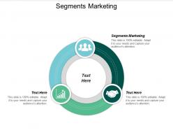 Segments marketing ppt powerpoint presentation infographic template graphics example cpb