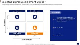 Selecting Brand Development Strategy Brand Strategy Framework