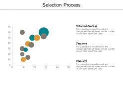 Selection process ppt powerpoint presentation outline grid cpb
