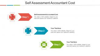 Self Assessment Accountant Cost Ppt Powerpoint Presentation Professional Model Cpb
