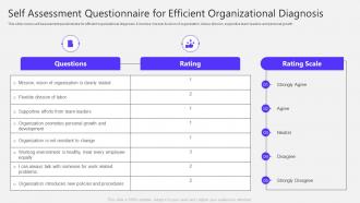 Self Assessment Questionnaire For Efficient Organizational Diagnosis