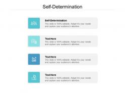 Self determination ppt powerpoint presentation infographic template layout cpb