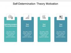 Self determination theory motivation ppt powerpoint presentation infographic template layout ideas cpb