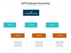 Self employed accounting ppt powerpoint file slide download cpb