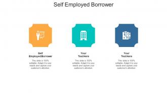 Self employed borrower ppt powerpoint presentation professional diagrams cpb