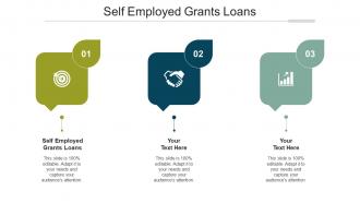 Self Employed Grants Loans Ppt Powerpoint Presentation Slides Cpb