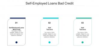 Self Employed Loans Bad Credit Ppt Powerpoint Presentation Layouts Graphics Example Cpb