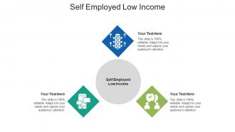 Self employed low income ppt powerpoint presentation gallery brochure cpb