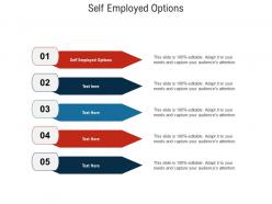 Self employed options ppt powerpoint presentation professional infographic template cpb