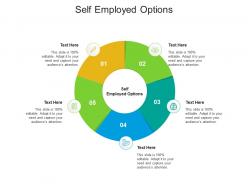 Self employed options ppt powerpoint presentation professional outline cpb