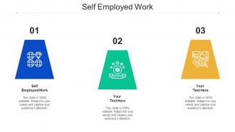 Self Employed Work Ppt Powerpoint Presentation Infographic Template Cpb