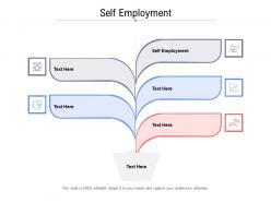 Self employment ppt powerpoint presentation gallery guidelines cpb