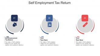 Self employment tax return ppt powerpoint presentation show inspiration cpb