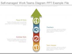 Self managed work teams diagram ppt example file